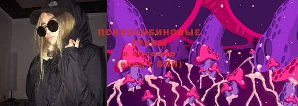 не бодяженный Алексин