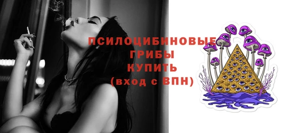 не бодяженный Алексин