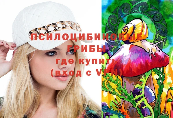 не бодяженный Алексин