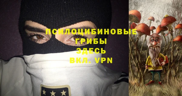 не бодяженный Алексин