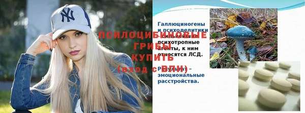 не бодяженный Алексин