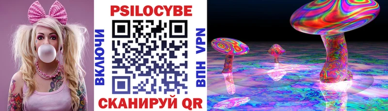 закладка  Малаховка  Галлюциногенные грибы Cubensis 