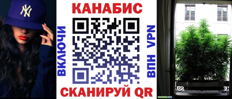 Бошки марихуана VHQ  купить наркоту  Малаховка 